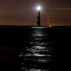 Meet your Posher, Delicia